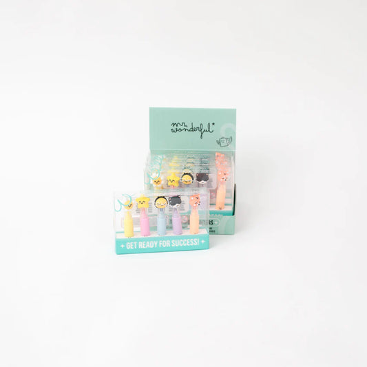 Set di 5 evidenziatori pastello – Colori tenui, idee brillanti – Mr.Wonderful