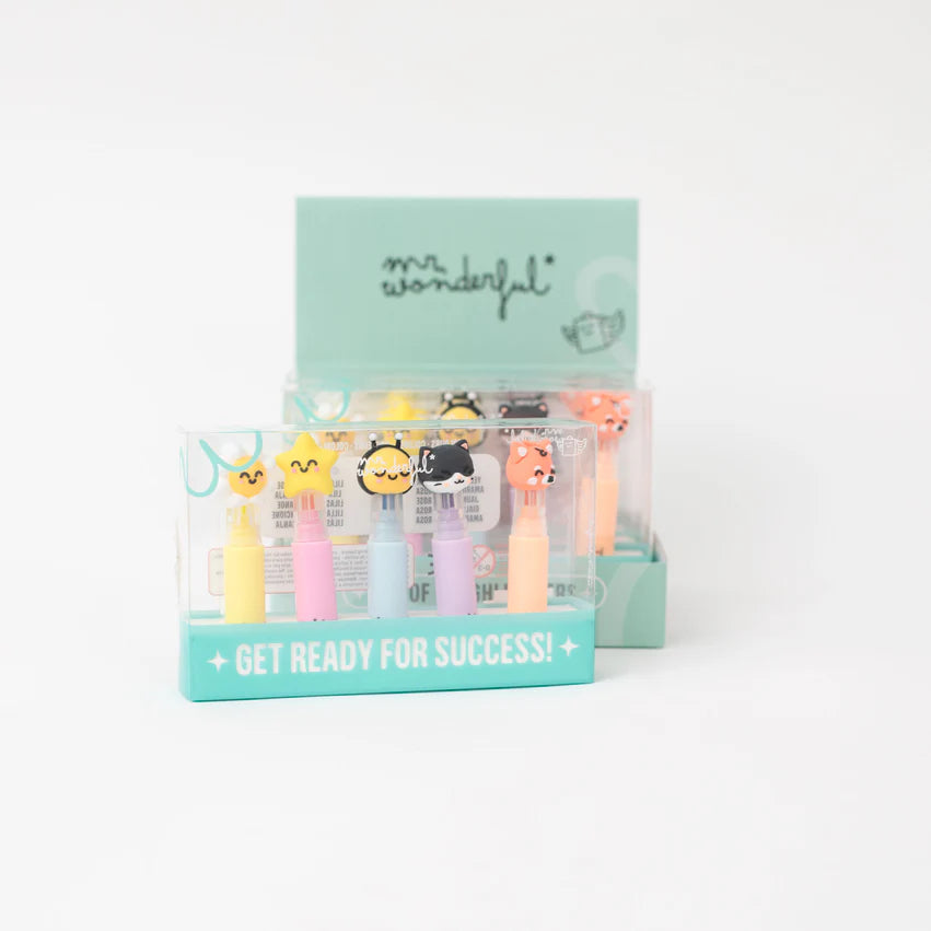 Set di 5 evidenziatori pastello – Colori tenui, idee brillanti – Mr.Wonderful