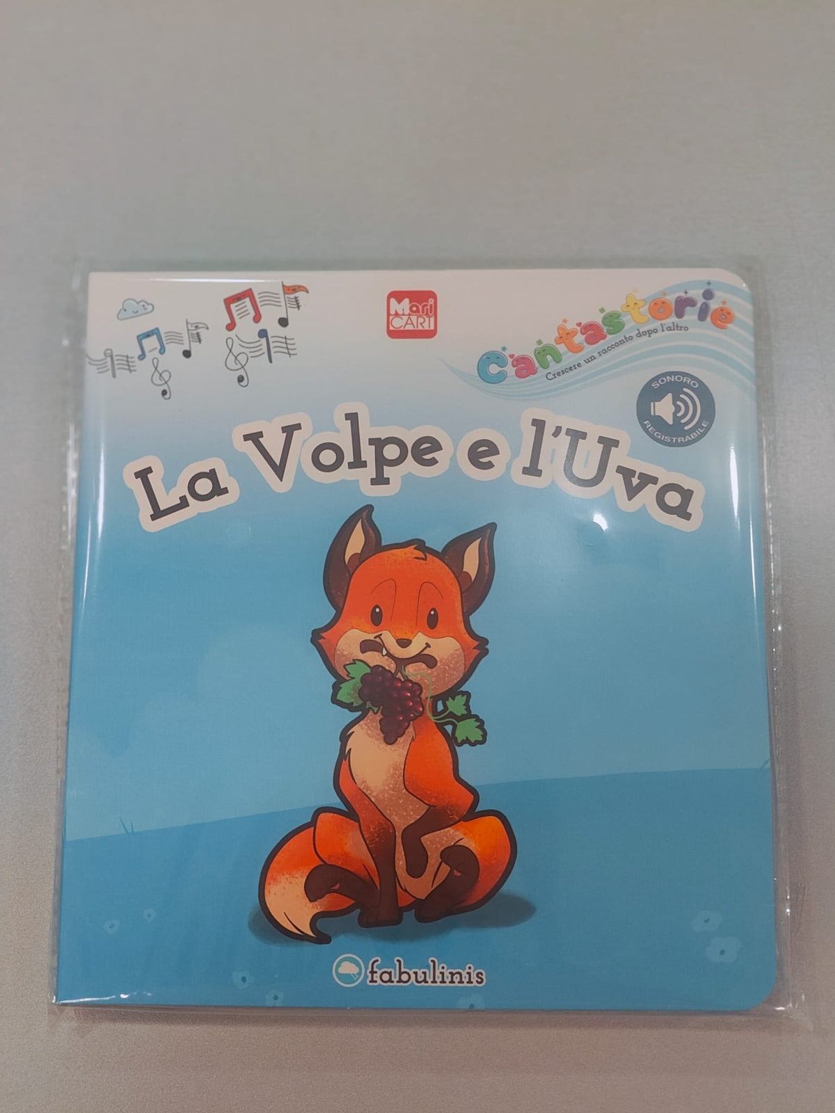 Libro Cantastorie