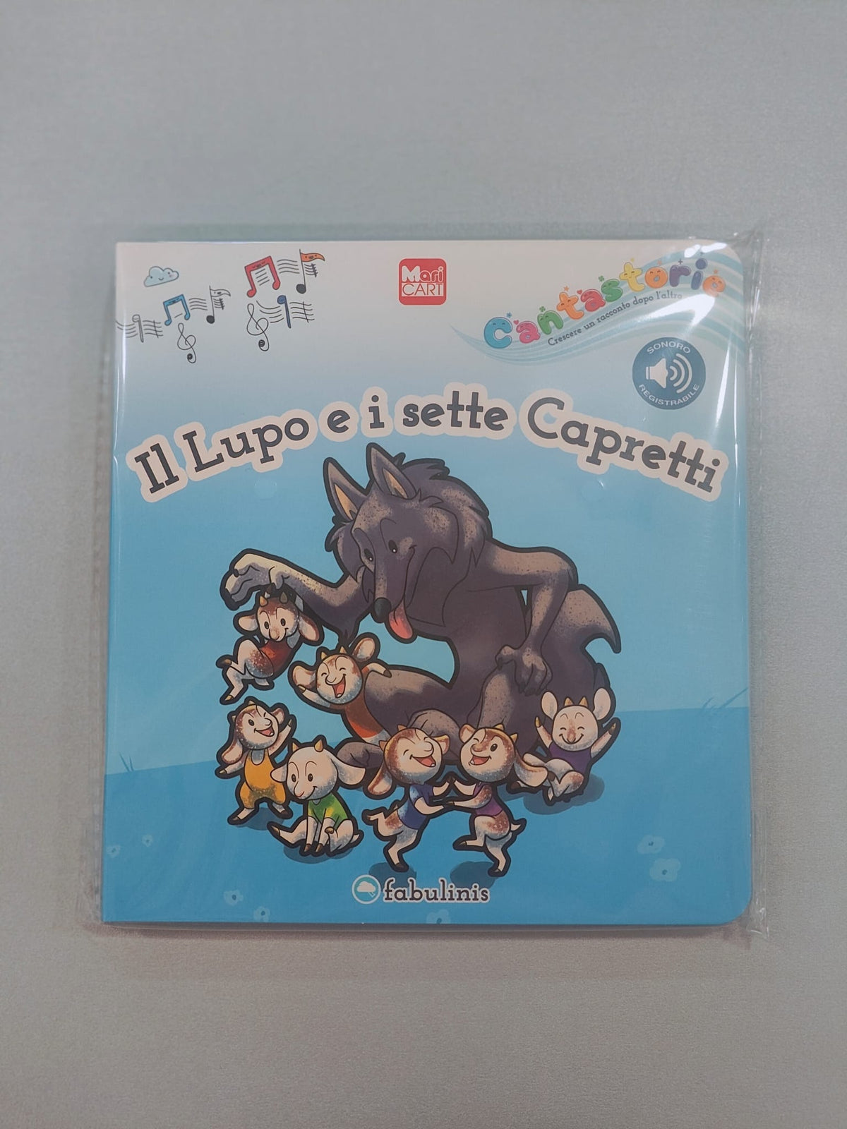 Libro Cantastorie