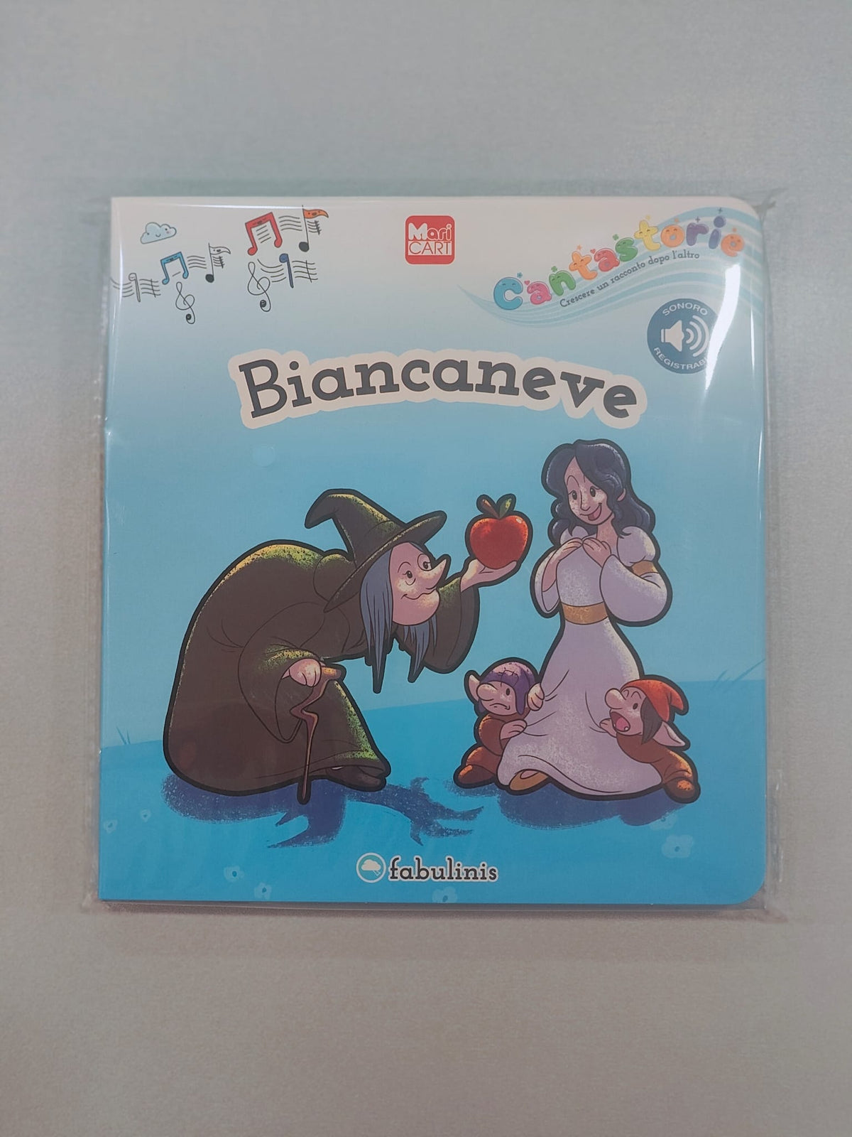 Libro Cantastorie
